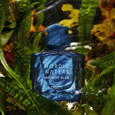 عطر مردانه نوردیک واترز اینفینیت بلو