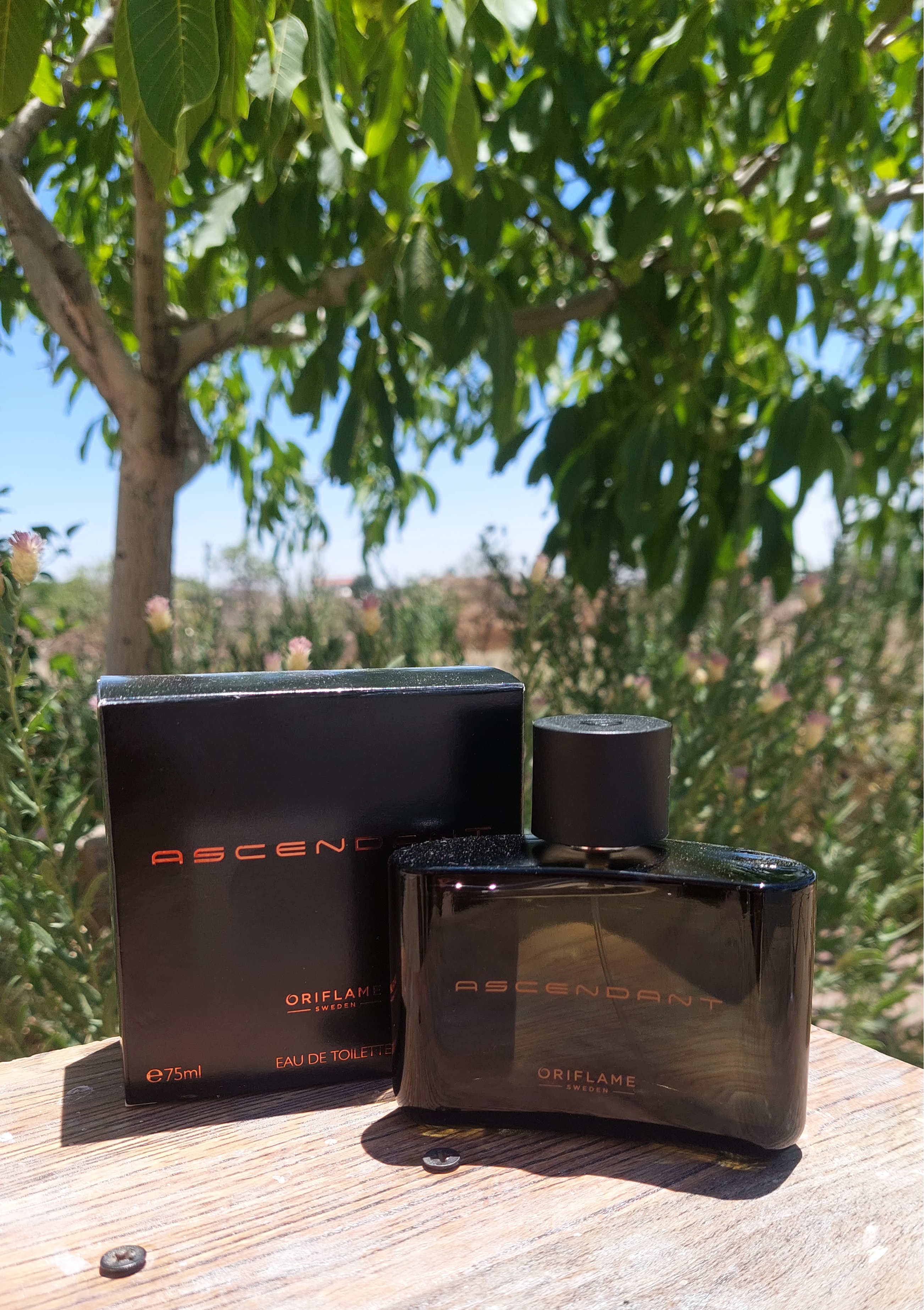عطر مردانه اسندنت