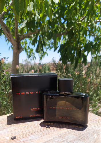 عطر مردانه اسندنت